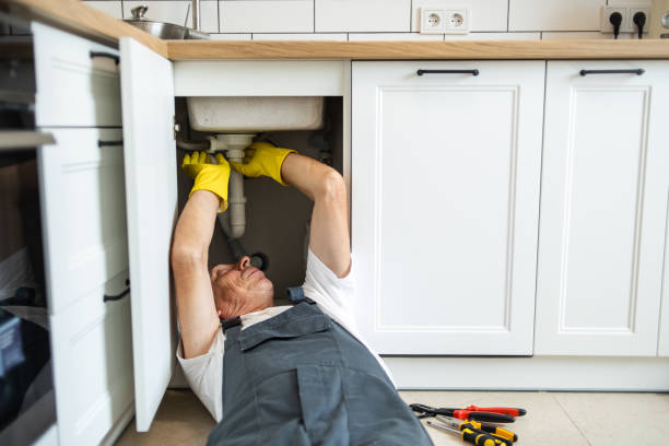 Best Septic Systems  in Terry, MS